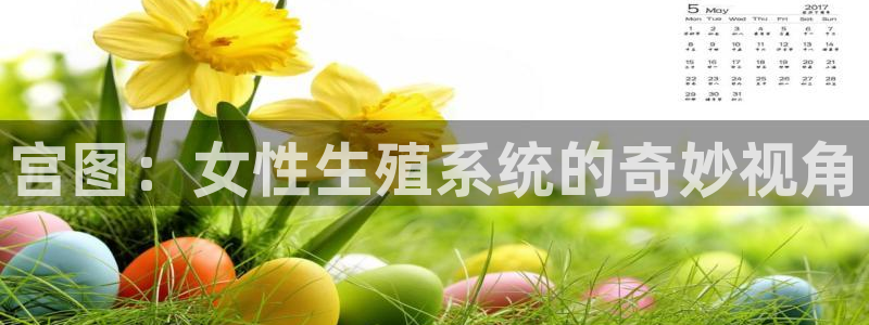 羞羞漫画官网在线免费观看：宫图：女性生殖系统的奇妙视角