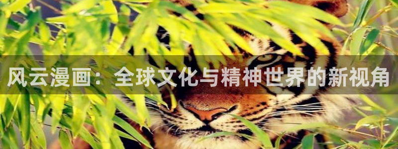 羞羞漫画免费视频：风云漫画：全球文化与精神世界的新视角