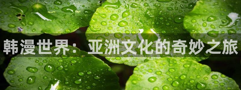 羞羞漫画网站..：韩漫世界：亚洲文化的奇妙之旅