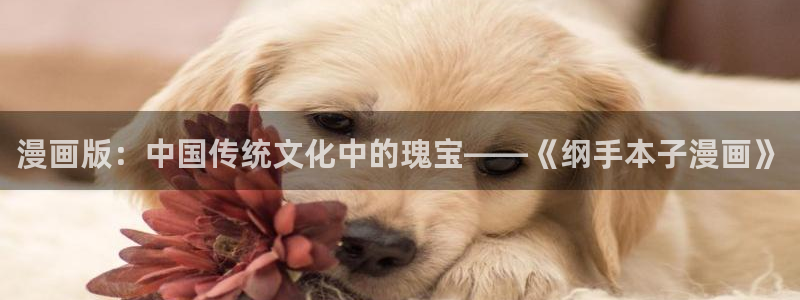 羞羞漫画免费阅