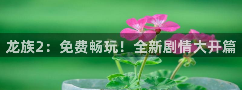 羞羞漫画在线在线观看：龙族2：免费畅玩！全新剧情大开篇